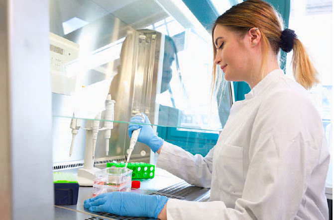 Mars Edge scientist testing cocoa flavanol content in the Core Laboratory