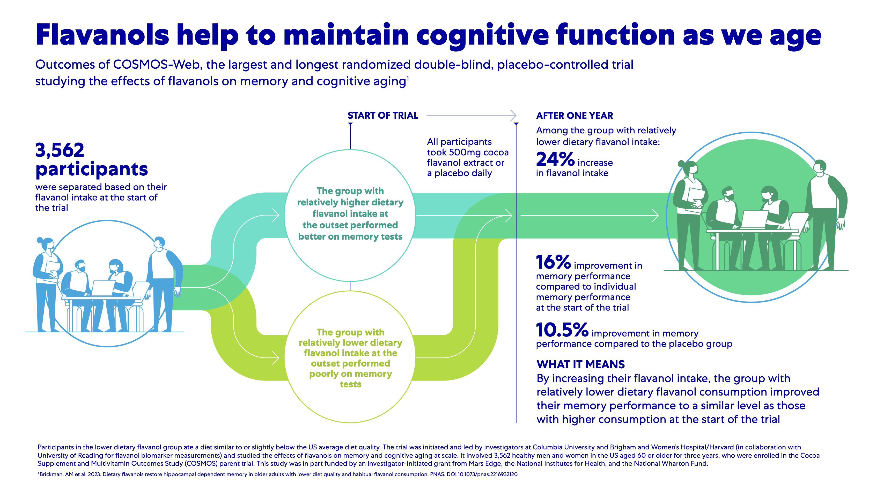 COSMOS-Web results show cocoa flavanols improve memory in older adults (Yeung 2023)