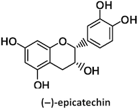 Chemical structure of (−)-epicatechin, the main cocoa flavanol