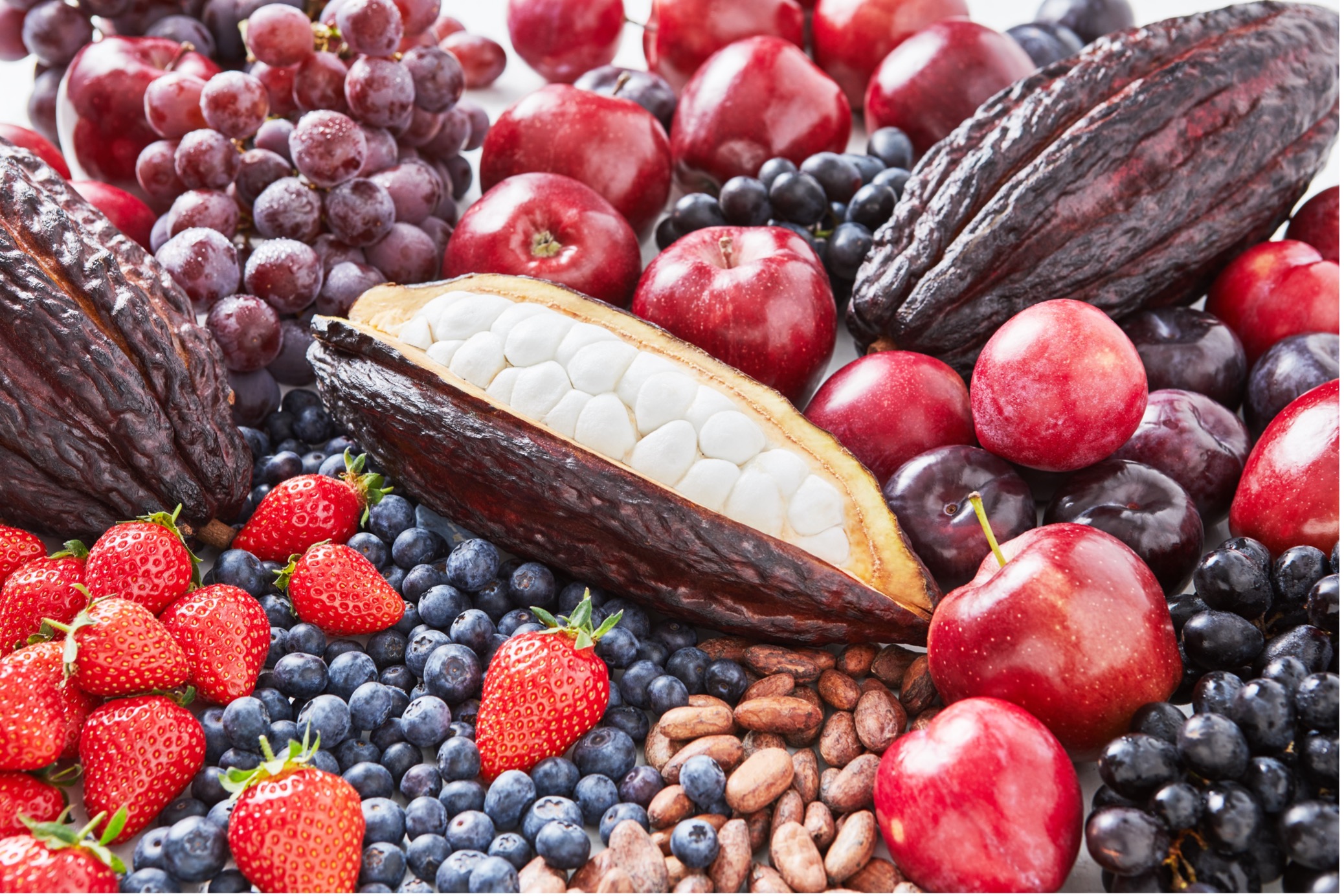 Flavanols, Health and Food factsheet from Mars Edge