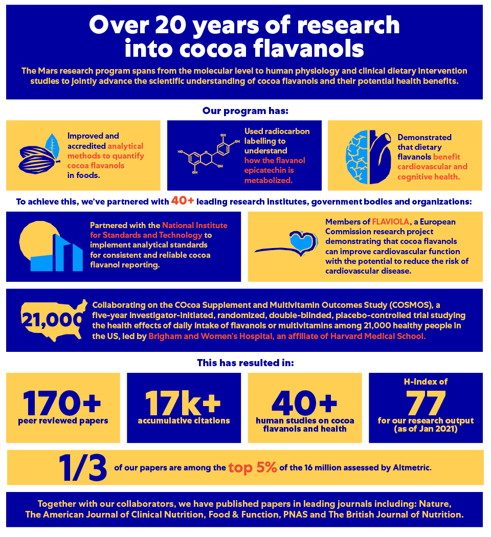 Cocoa Flavanol Infographic